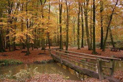 Hotel Eurotel Venray Bagian luar foto